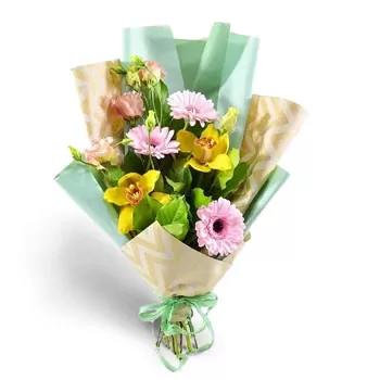 ברסטניצה פרחים- קַרנָבָל פרח משלוח