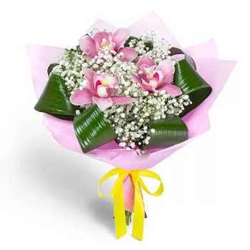Baniste Blumen Florist- Rosa Wunder Blumen Lieferung