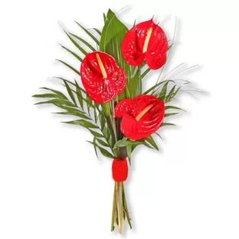 Bozevci blomster- Rød sjarm Blomst Levering