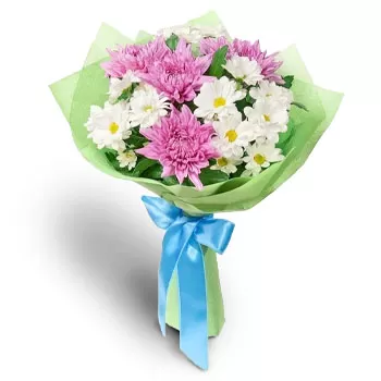 Blazievo פרחים- שמחה ורוד לבן פרח משלוח