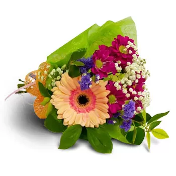 بائع زهور بالجارسكو سليفوفو ،- ملون زهرة التسليم