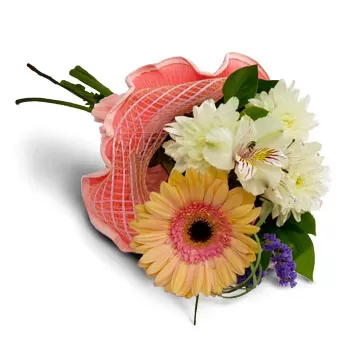 בוטוניה פרחים- חיבוקים רכים פרח משלוח