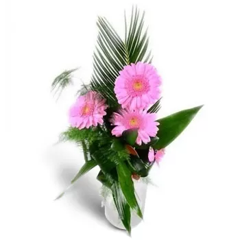 Bozan Blumen Florist- Freches Rosa Blumen Lieferung