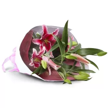 Bivolare פרחים- זר האהבה פרח משלוח