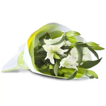Bohot blomster- Hvide kronblade Blomst Levering