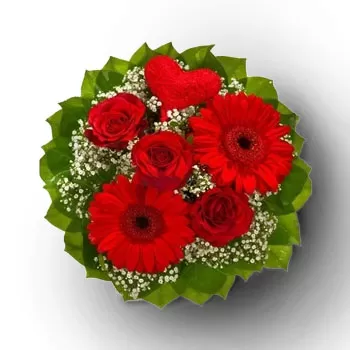 Boerica blomster- Rød Smooch Blomst Levering