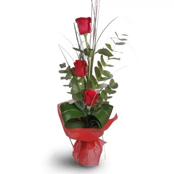 בוינצ'י פרחים- אהובה פרח משלוח