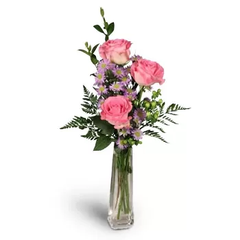 Бов цветя- Розова роза Цвете Доставка
