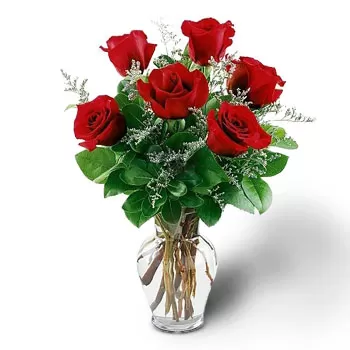 Borimeckovo Blumen Florist- Rocke das Rote Blumen Lieferung