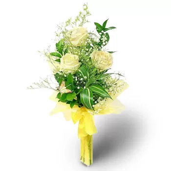 بائع زهور بيلوتينشي- عيد الميلاد الأبيض زهرة التسليم