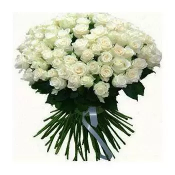 flores de Al Hamra- Branca de neve Flor Entrega