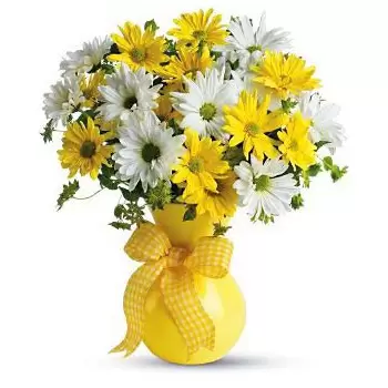 Fraugde kwiaty- Promienie słoneczne Kwiat Dostawy