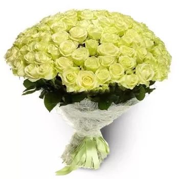 ๋ถ๊ฐ๋ฆฌ์ ๊ฝ- ์ ์ ํ ๋์ฐฉ