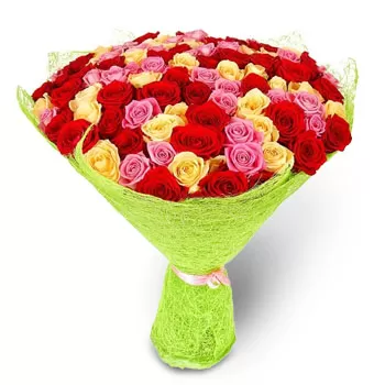 Kosovo flowers  -  Delightful Petals Flower Delivery