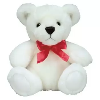 Perth flowers  -  White Teddy Bear Delivery