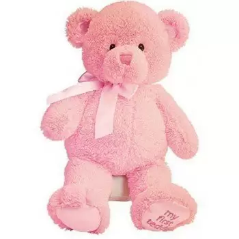  flowers  -  Pink Teddy Bear  Delivery