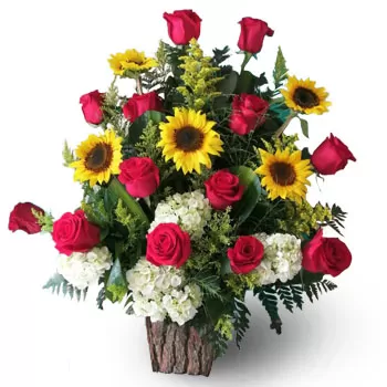 סן סבסטיאן דה יאלי פרחים- זוהר פאר פרח משלוח