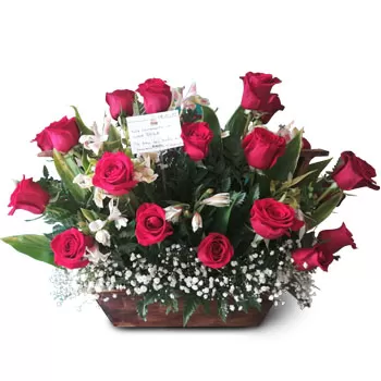ניקרגואה פרחים- די אדום פרח משלוח