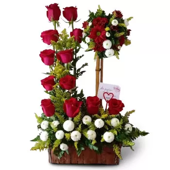 fiorista fiori di San Juan de Limay- La vendetta di Rosey Fiore Consegna