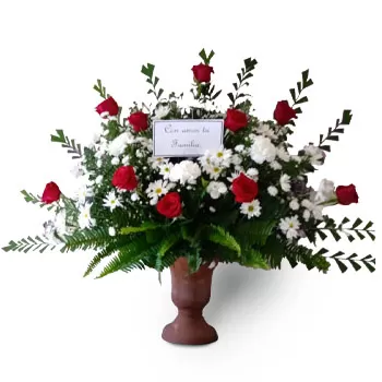 San Dionisio Blumen Florist- Verabschiedung Blumen Lieferung