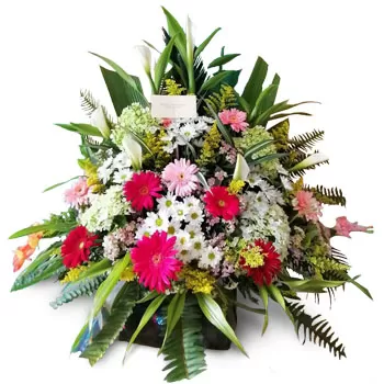 flores San Lorenzo floristeria -  palabras amables Ramos de  con entrega a domicilio