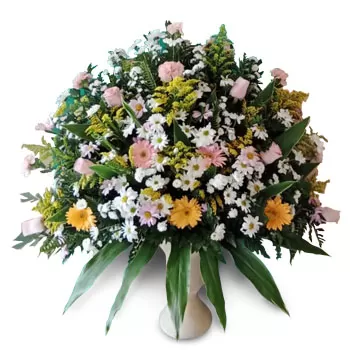 El Crucero kwiaty- kochająca aranżacja dziecka Kwiat Dostawy