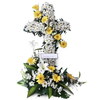 Santa Lucia blomster- munter Blomst Levering