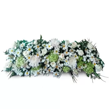 Santo Tomás Blumen Florist- Paradies Blumen Lieferung