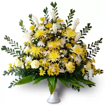 ניקרגואה פרחים- זוֹעֵף פרח משלוח