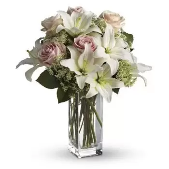 דנצ'ון-מיאון פרחים- אור יום פרח משלוח
