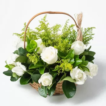 Belem cvijeća- Svježi miris Cvijet Isporuke
