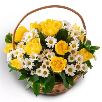 Manaus bloemen bloemist- Mooie cadeautjes Bloem Levering
