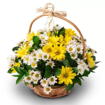 Belém kedai bunga online - Kuning lembut Sejambak