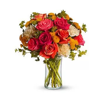 ???? ชามัน ซันนี่เซียสต้า | กุหลาบดอกเบญจมาศและดอกคาร์เนชั่น | จัดส่งดอกไม้  ชามัน - ชามัน ร้านดอกไม้