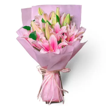 Hougang East λουλούδια- Ασιατικά ροζ κρίνα Λουλούδι Παράδοση