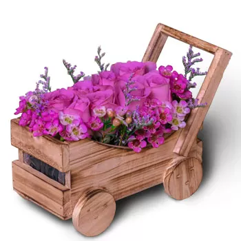 Cairnhill λουλούδια- Μοβ Λάμψη Λουλούδι Παράδοση