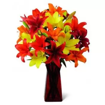 Ash-Shaykh Zayid bloemen bloemist- Pure gelukzaligheid Bloem Levering