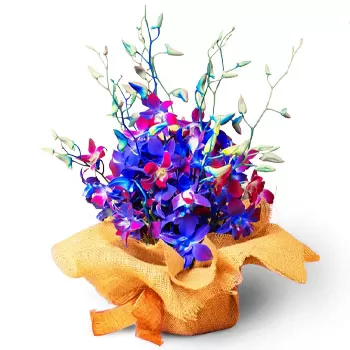 Λεκάνη Γκιούλ λουλούδια- Όμορφη διάταξη ορχιδέας Λουλούδι Παράδοση