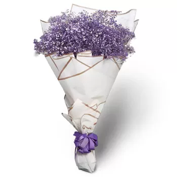 Clementi West kwiaty- Zniewalający Bukiet Śliwkowy Kwiat Dostawy