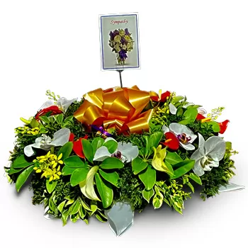 flores Mualevu floristeria -  Floreciendo maravilloso Ramos de  con entrega a domicilio