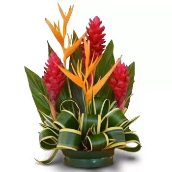 Острови Фіджі квіти- Вибух кольорів Квітка Доставка