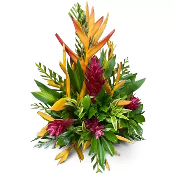 Fidžijské ostrovy online květinářství - Červená romance Kytice