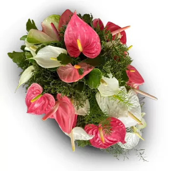 بائع زهور جزر فيجي- ارض الاحلام باقة الزهور