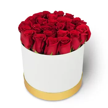 גן סרנגון פרחים- האטרקטיביות של ורדים אדומים פרח משלוח