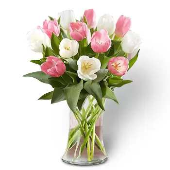 פולאו סלטאר פרחים- זר שליו פרח משלוח