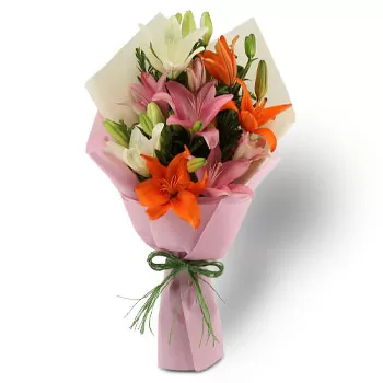 Choa Chu Kang North λουλούδια- Άνθηση Λουλούδι Παράδοση