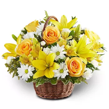 קמפונג טיונג בארו פרחים- נשיקת שמש פרח משלוח