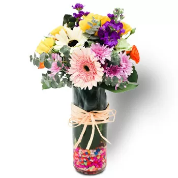 Κανάλι Rochor λουλούδια- Ακτινοβόλος Λουλούδι Παράδοση