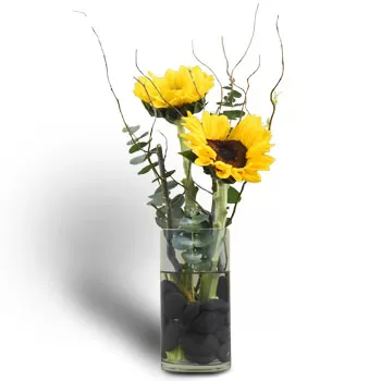 וניה פרחים- זוג חמניות מעולה פרח משלוח