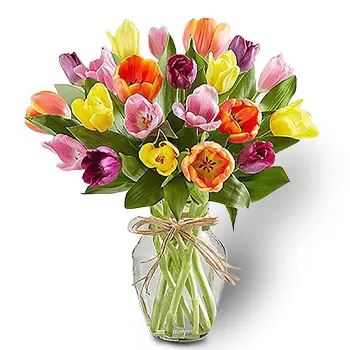 Tanjong Pagar blomster- Lysende kronblade Blomst Levering